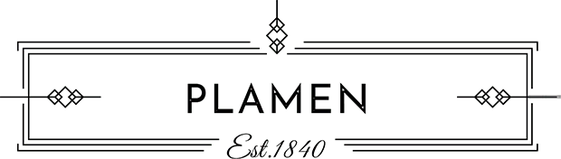 logo dark