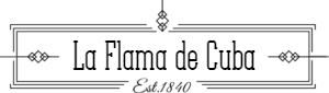 logo main